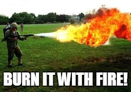 BURN IT WITH FIRE! | made w/ Imgflip meme maker