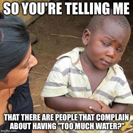 7.8/10 | SO YOU'RE TELLING ME THAT THERE ARE PEOPLE THAT COMPLAIN ABOUT HAVING "TOO MUCH WATER?" | image tagged in memes,third world skeptical kid | made w/ Imgflip meme maker