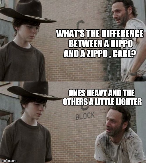 Rick and Carl | WHAT'S THE DIFFERENCE BETWEEN A HIPPO AND A ZIPPO , CARL? ONES HEAVY AND THE OTHERS A LITTLE LIGHTER | image tagged in memes,rick and carl | made w/ Imgflip meme maker