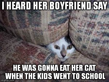 Here kitty kitty | I HEARD HER BOYFRIEND SAY HE WAS GONNA EAT HER CAT WHEN THE KIDS WENT TO SCHOOL | image tagged in funny cat memes | made w/ Imgflip meme maker