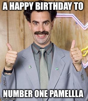 borat | A HAPPY BIRTHDAY TO NUMBER ONE PAMELLLA | image tagged in borat | made w/ Imgflip meme maker