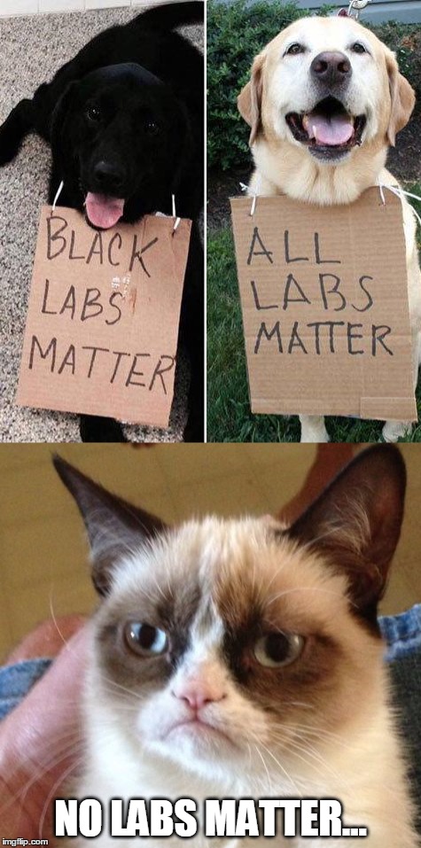 Deal with it... | NO LABS MATTER... | image tagged in humor,grumpy cat,all lives matter | made w/ Imgflip meme maker