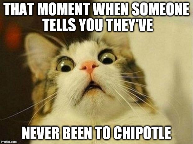 Scared Cat | THAT MOMENT WHEN SOMEONE TELLS YOU THEY'VE NEVER BEEN TO CHIPOTLE | image tagged in memes,scared cat | made w/ Imgflip meme maker