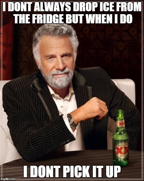 The Most Interesting Man In The World Meme | I DONT ALWAYS DROP ICE FROM THE FRIDGE BUT WHEN I DO I DONT PICK IT UP | image tagged in memes,the most interesting man in the world | made w/ Imgflip meme maker