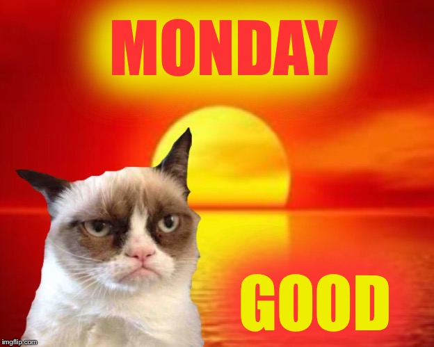 Grumpy Monday | MONDAY GOOD | image tagged in grumpy cat,memes,funny memes,so true memes,justjeff | made w/ Imgflip meme maker