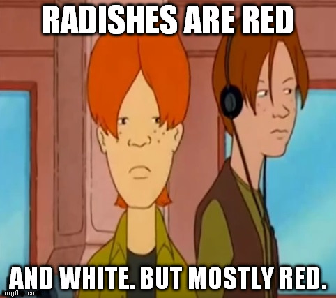 Dooley | RADISHES ARE RED AND WHITE. BUT MOSTLY RED. | image tagged in dooley | made w/ Imgflip meme maker
