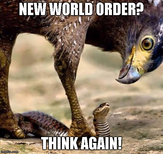 Eagle and Snake | NEW WORLD ORDER? THINK AGAIN! | image tagged in eagle and snake | made w/ Imgflip meme maker