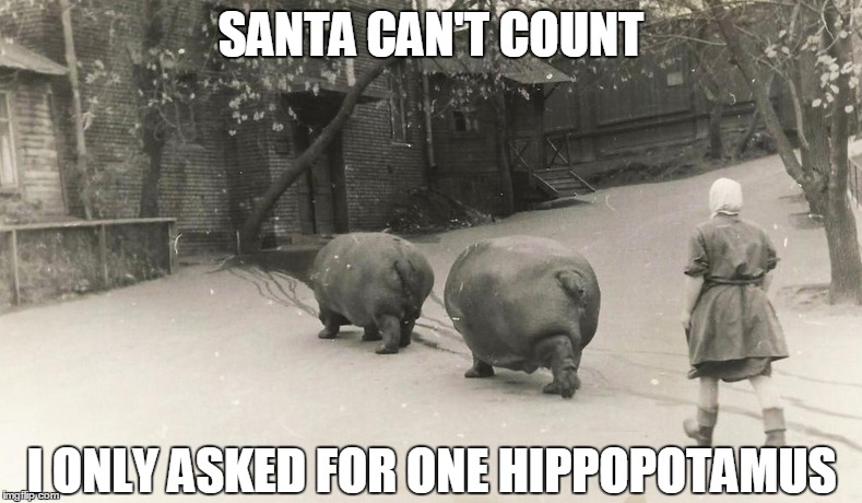IIIIIIIII Wanna Hippopotamus For Christmaaaaas | SANTA CAN'T COUNT I ONLY ASKED FOR ONE HIPPOPOTAMUS | image tagged in christmas is coming,hippo,santa,i want a hippopotamus,christmas | made w/ Imgflip meme maker