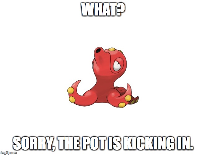 WHAT? SORRY, THE POT IS KICKING IN. | image tagged in what | made w/ Imgflip meme maker