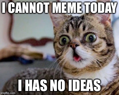 Derpy cat | I CANNOT MEME TODAY I HAS NO IDEAS | image tagged in derpy cat | made w/ Imgflip meme maker