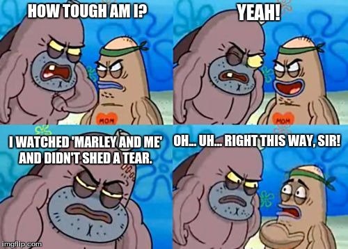 How Tough Are You | HOW TOUGH AM I? YEAH! I WATCHED 'MARLEY AND ME' AND DIDN'T SHED A TEAR. OH... UH... RIGHT THIS WAY, SIR! | image tagged in memes,how tough are you | made w/ Imgflip meme maker