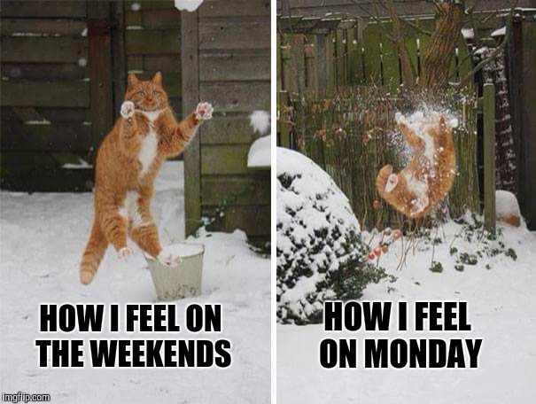 How my feelings changes | HOW I FEEL ON THE WEEKENDS HOW I FEEL ON MONDAY | image tagged in weekend,funny cats,hilarious,star wars,comedy | made w/ Imgflip meme maker
