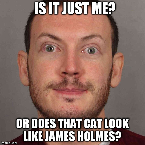 James Holmes | IS IT JUST ME? OR DOES THAT CAT LOOK LIKE JAMES HOLMES? | image tagged in james holmes | made w/ Imgflip meme maker