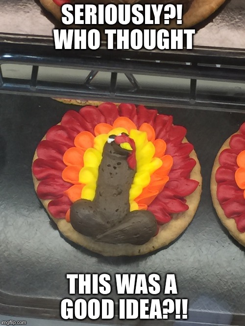 Bad cookie design | SERIOUSLY?! WHO THOUGHT THIS WAS A GOOD IDEA?!! | image tagged in turkey,cookie,thanksgiving | made w/ Imgflip meme maker