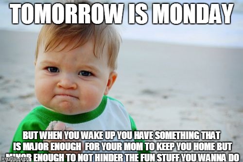 Success Kid Original Meme | TOMORROW IS MONDAY BUT WHEN YOU WAKE UP YOU HAVE SOMETHING THAT IS MAJOR ENOUGH  FOR YOUR MOM TO KEEP YOU HOME BUT MINOR ENOUGH TO NOT HINDE | image tagged in memes,success kid original | made w/ Imgflip meme maker