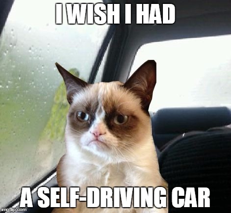 Introspective Grumpy Cat | I WISH I HAD A SELF-DRIVING CAR | image tagged in introspective grumpy cat,memes,grumpy cat | made w/ Imgflip meme maker
