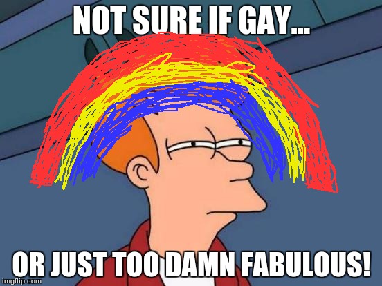 Futurama Fry Meme | NOT SURE IF GAY... OR JUST TOO DAMN FABULOUS! | image tagged in memes,futurama fry | made w/ Imgflip meme maker