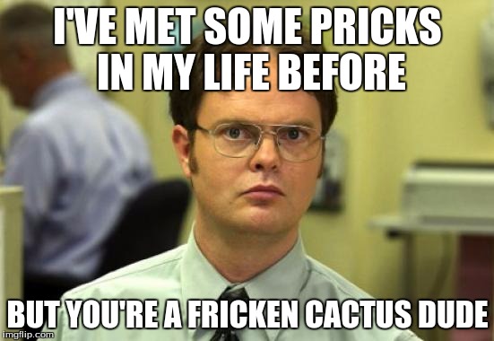 Dwight Schrute | I'VE MET SOME PRICKS IN MY LIFE BEFORE BUT YOU'RE A FRICKEN CACTUS DUDE | image tagged in memes,dwight schrute | made w/ Imgflip meme maker
