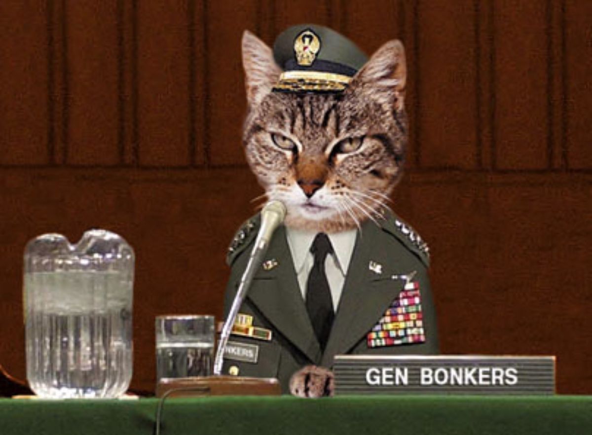 High Quality General Pussay Blank Meme Template