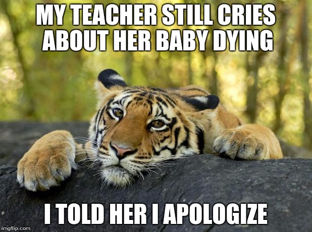 Confession Tiger | MY TEACHER STILL CRIES ABOUT HER BABY DYING I TOLD HER I APOLOGIZE | image tagged in confession tiger | made w/ Imgflip meme maker