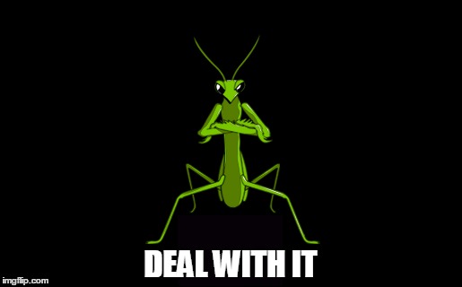 DEAL WITH IT | made w/ Imgflip meme maker