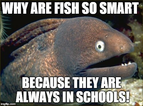 Bad Joke Eel Meme | WHY ARE FISH SO SMART BECAUSE THEY ARE ALWAYS IN SCHOOLS! | image tagged in memes,bad joke eel | made w/ Imgflip meme maker