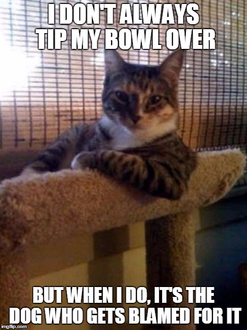 The Most Interesting Cat In The World Meme | I DON'T ALWAYS TIP MY BOWL OVER BUT WHEN I DO, IT'S THE DOG WHO GETS BLAMED FOR IT | image tagged in memes,the most interesting cat in the world | made w/ Imgflip meme maker