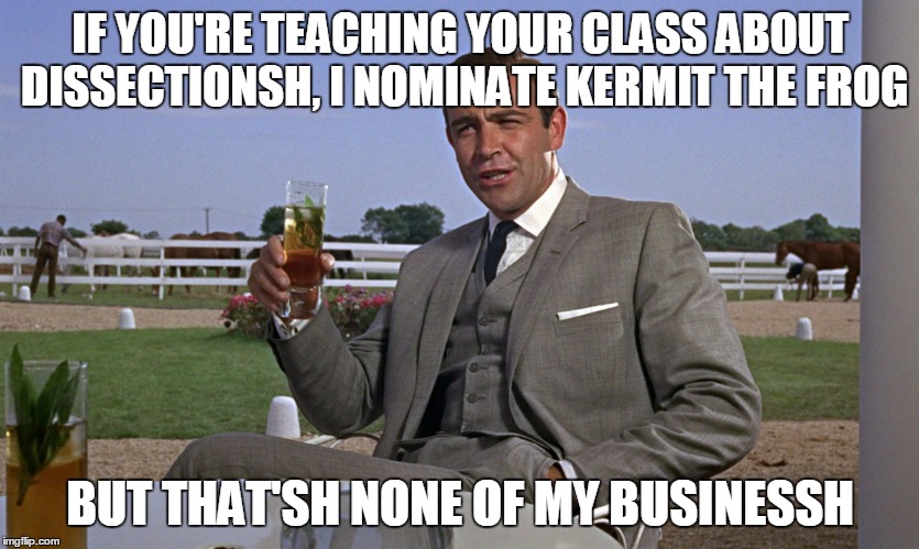 IF YOU'RE TEACHING YOUR CLASS ABOUT DISSECTIONSH, I NOMINATE KERMIT THE FROG BUT THAT'SH NONE OF MY BUSINESSH | made w/ Imgflip meme maker