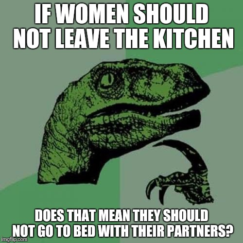 Philosoraptor | IF WOMEN SHOULD NOT LEAVE THE KITCHEN DOES THAT MEAN THEY SHOULD NOT GO TO BED WITH THEIR PARTNERS? | image tagged in memes,philosoraptor | made w/ Imgflip meme maker