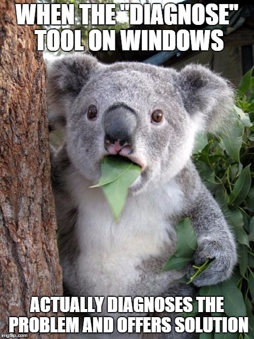 Surprised Koala | WHEN THE "DIAGNOSE" TOOL ON WINDOWS ACTUALLY DIAGNOSES THE PROBLEM AND OFFERS SOLUTION | image tagged in memes,surprised koala | made w/ Imgflip meme maker