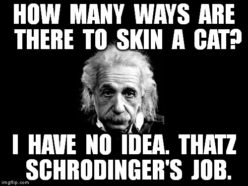 Albert Einstein 1 | HOW  MANY  WAYS  ARE  THERE  TO  SKIN  A  CAT? I  HAVE  NO  IDEA.  THATZ  SCHRODINGER'S  JOB. | image tagged in memes,albert einstein 1 | made w/ Imgflip meme maker