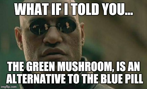 Matrix Morpheus Meme | WHAT IF I TOLD YOU... THE GREEN MUSHROOM, IS AN ALTERNATIVE TO THE BLUE PILL | image tagged in memes,matrix morpheus | made w/ Imgflip meme maker