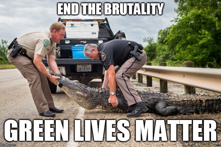 END THE BRUTALITY GREEN LIVES MATTER | image tagged in green lives matter | made w/ Imgflip meme maker