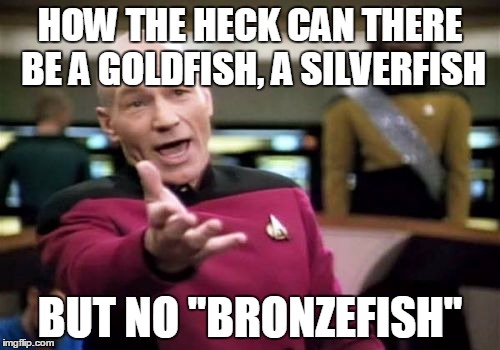 Picard Wtf | HOW THE HECK CAN THERE BE A GOLDFISH, A SILVERFISH BUT NO "BRONZEFISH" | image tagged in memes,picard wtf | made w/ Imgflip meme maker