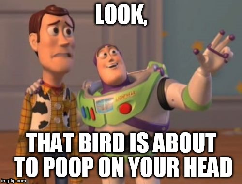 X, X Everywhere Meme | LOOK, THAT BIRD IS ABOUT TO POOP ON YOUR HEAD | image tagged in memes,x x everywhere | made w/ Imgflip meme maker