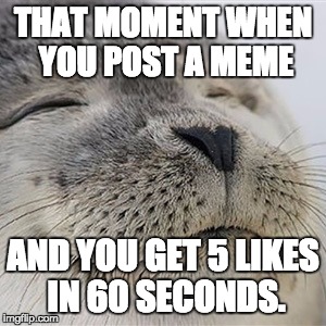 Content seal | THAT MOMENT WHEN YOU POST A MEME AND YOU GET 5 LIKES IN 60 SECONDS. | image tagged in content seal | made w/ Imgflip meme maker