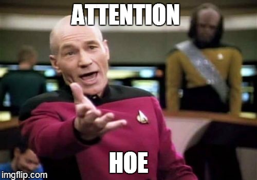 ATTENTION HOE | image tagged in memes,picard wtf | made w/ Imgflip meme maker
