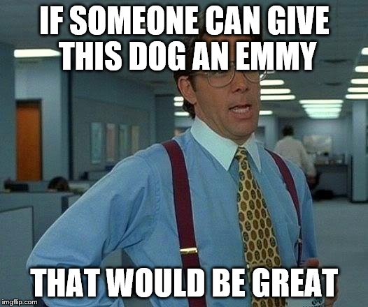 That Would Be Great Meme | IF SOMEONE CAN GIVE THIS DOG AN EMMY THAT WOULD BE GREAT | image tagged in memes,that would be great | made w/ Imgflip meme maker