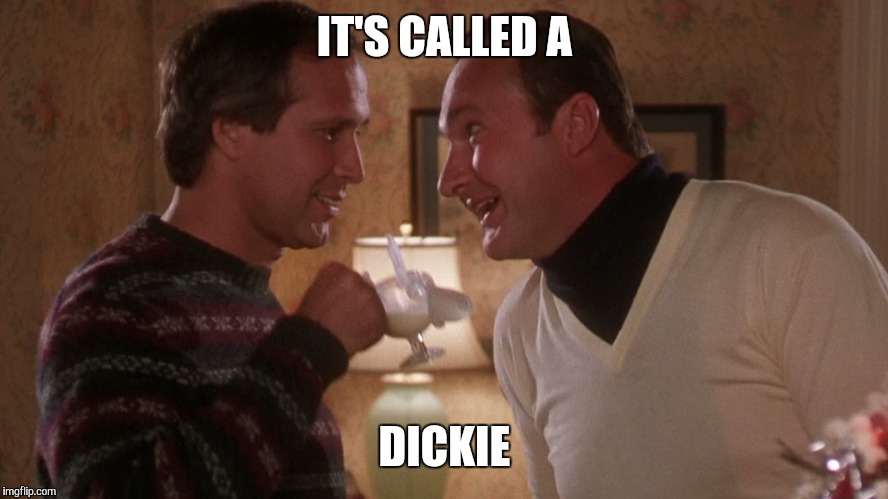 IT'S CALLED A DICKIE | image tagged in christmas vacation | made w/ Imgflip meme maker