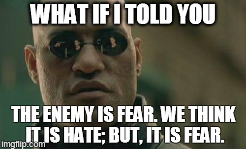 Matrix Morpheus | WHAT IF I TOLD YOU THE ENEMY IS FEAR. WE THINK IT IS HATE; BUT, IT IS FEAR. | image tagged in memes,matrix morpheus | made w/ Imgflip meme maker