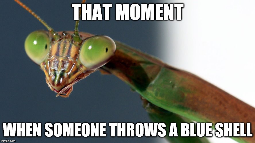 This one probably sucks, but, hey. Mantis memes work. | THAT MOMENT WHEN SOMEONE THROWS A BLUE SHELL | image tagged in memes,mantis | made w/ Imgflip meme maker