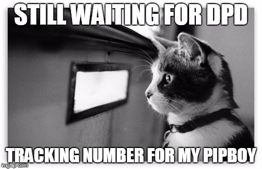 STILL WAITING FOR DPD TRACKING NUMBER FOR MY PIPBOY | made w/ Imgflip meme maker