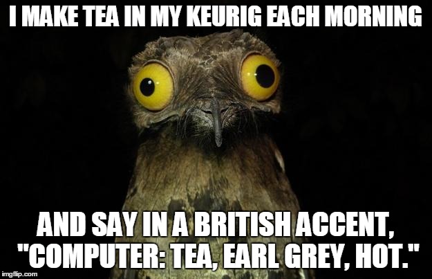 I MAKE TEA IN MY KEURIG EACH MORNING AND SAY IN A BRITISH ACCENT, "COMPUTER: TEA, EARL GREY, HOT." | image tagged in potoo,AdviceAnimals | made w/ Imgflip meme maker