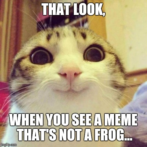 Not a frog... | THAT LOOK, WHEN YOU SEE A MEME THAT'S NOT A FROG... | image tagged in memes,smiling cat | made w/ Imgflip meme maker