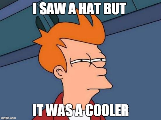 Futurama Fry | I SAW A HAT BUT IT WAS A COOLER | image tagged in memes,futurama fry | made w/ Imgflip meme maker