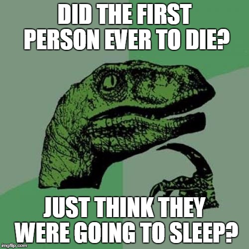 Philosoraptor | DID THE FIRST PERSON EVER TO DIE? JUST THINK THEY WERE GOING TO SLEEP? | image tagged in memes,philosoraptor | made w/ Imgflip meme maker