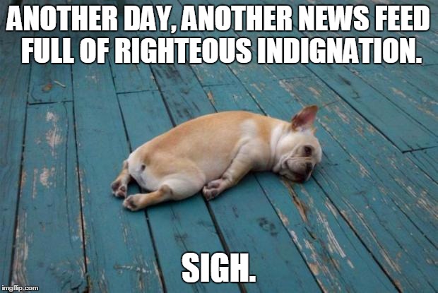 Tired dog | ANOTHER DAY, ANOTHER NEWS FEED FULL OF RIGHTEOUS INDIGNATION. SIGH. | image tagged in tired dog | made w/ Imgflip meme maker