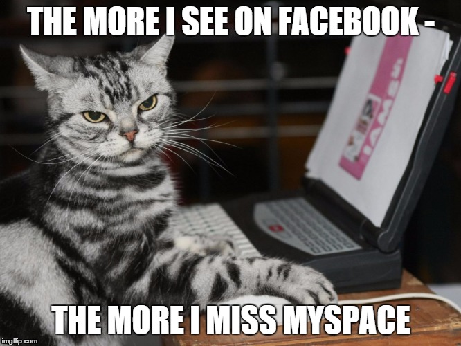 Annoyed Designer Cat | THE MORE I SEE ON FACEBOOK - THE MORE I MISS MYSPACE | image tagged in annoyed designer cat | made w/ Imgflip meme maker