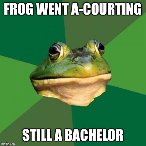 Foul Bachelor Frog Meme | FROG WENT A-COURTING STILL A BACHELOR | image tagged in memes,foul bachelor frog | made w/ Imgflip meme maker