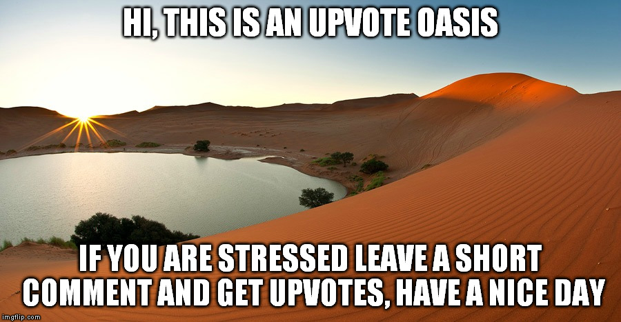 Get good vibes and relax here | HI, THIS IS AN UPVOTE OASIS IF YOU ARE STRESSED LEAVE A SHORT COMMENT AND GET UPVOTES, HAVE A NICE DAY | image tagged in good vibes,oasis,upvotes,imgflip | made w/ Imgflip meme maker